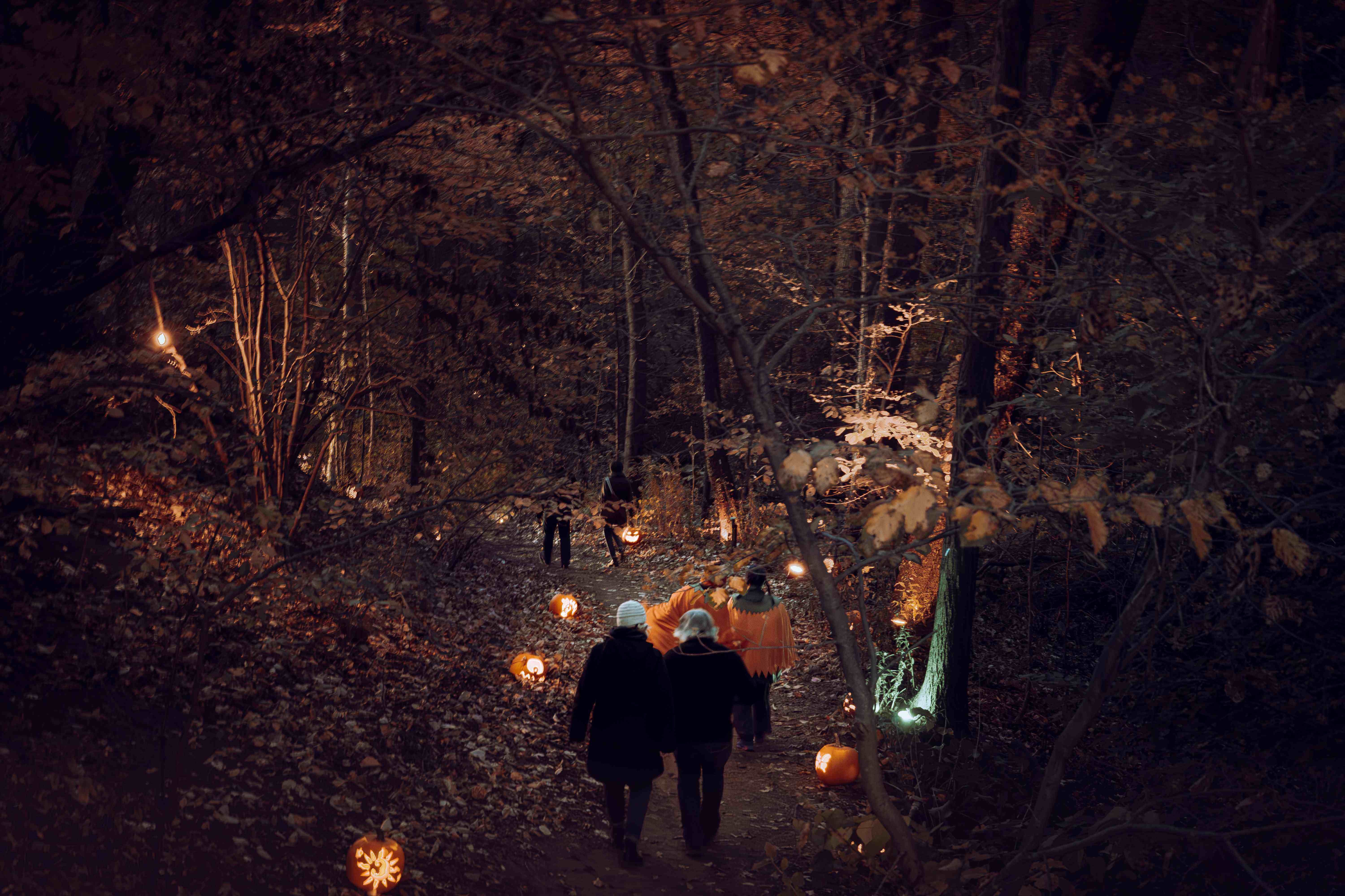 RBG Pumpkin Trail