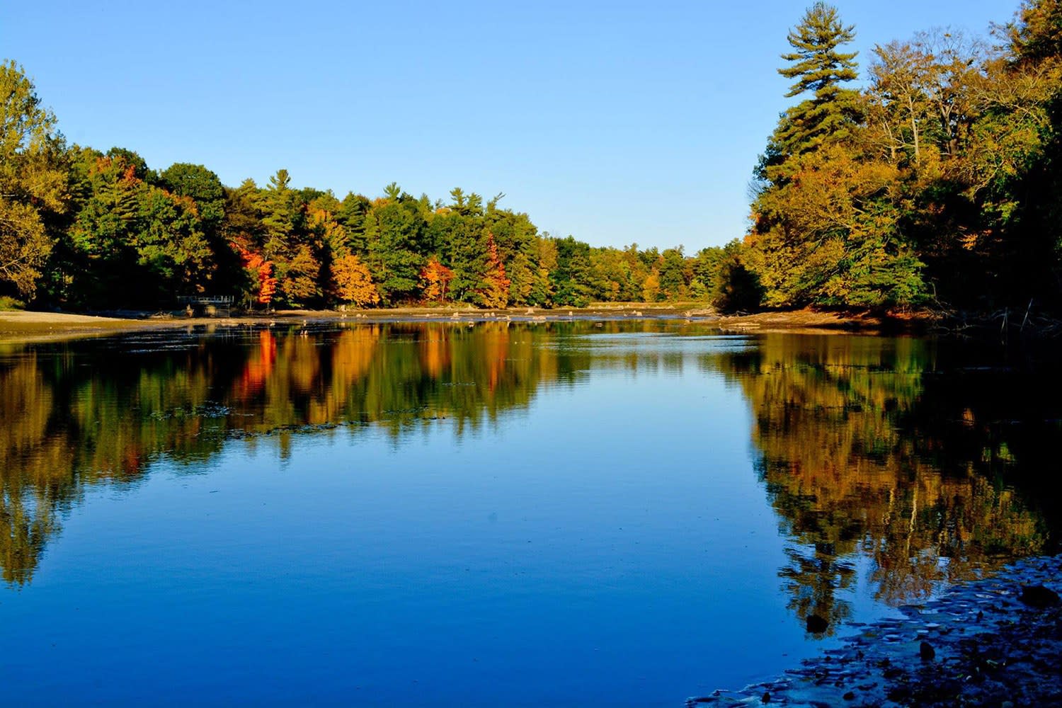 Springwater Conservation