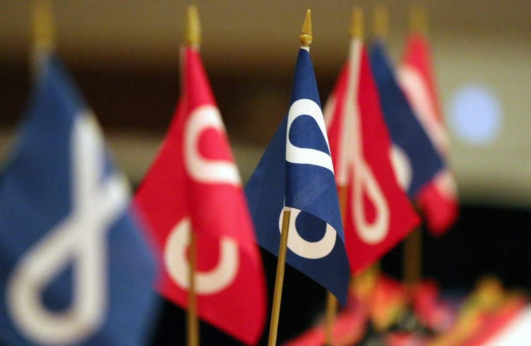 metis council
