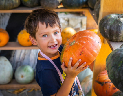 child with pumpkin
