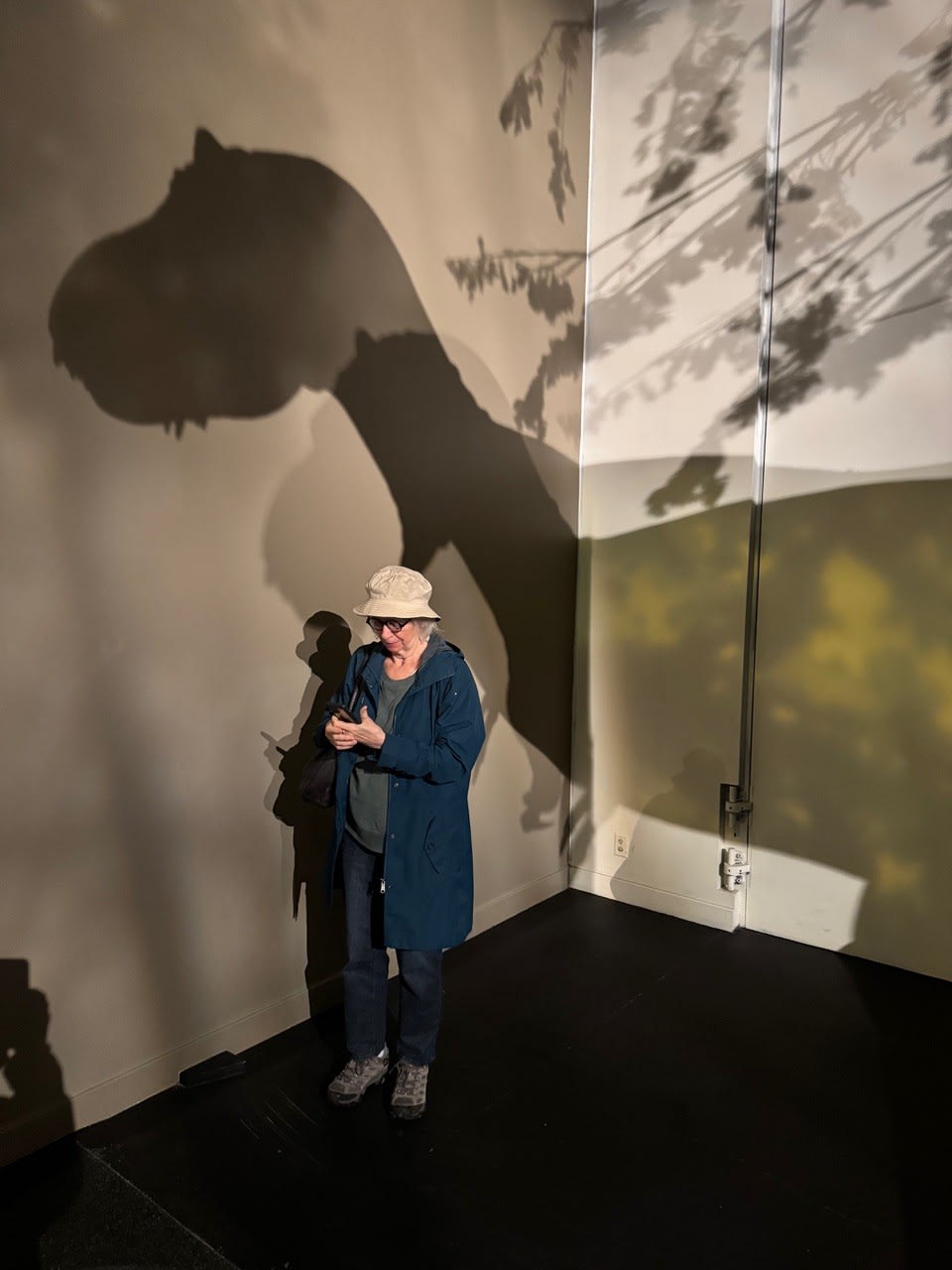 Linda Bailey Dinosaurs